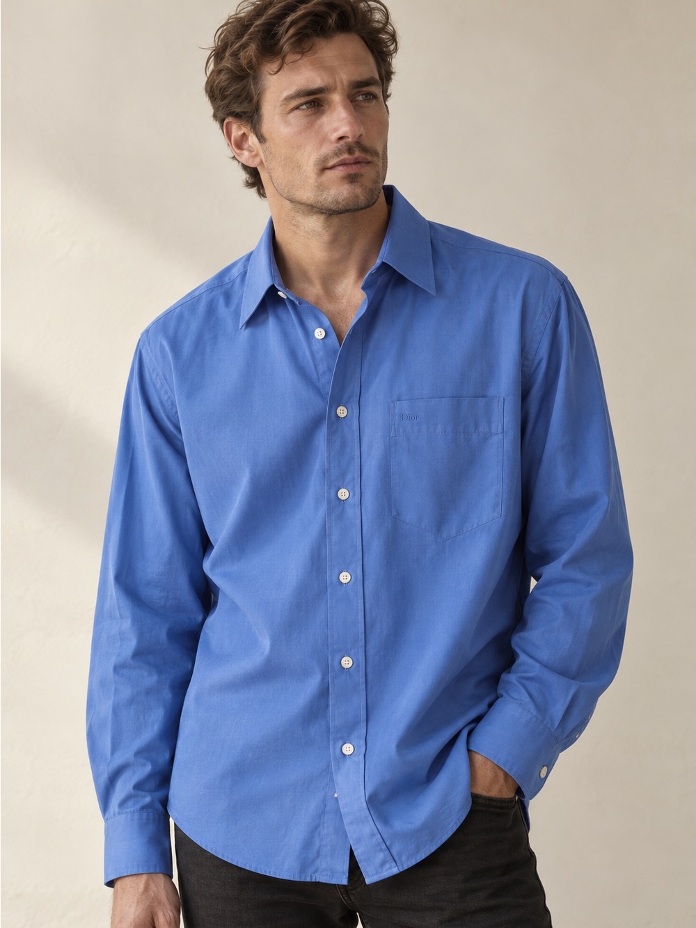 Christian Dior Monsieur Logo Button Down Shirt Cornflower Blue Large 16